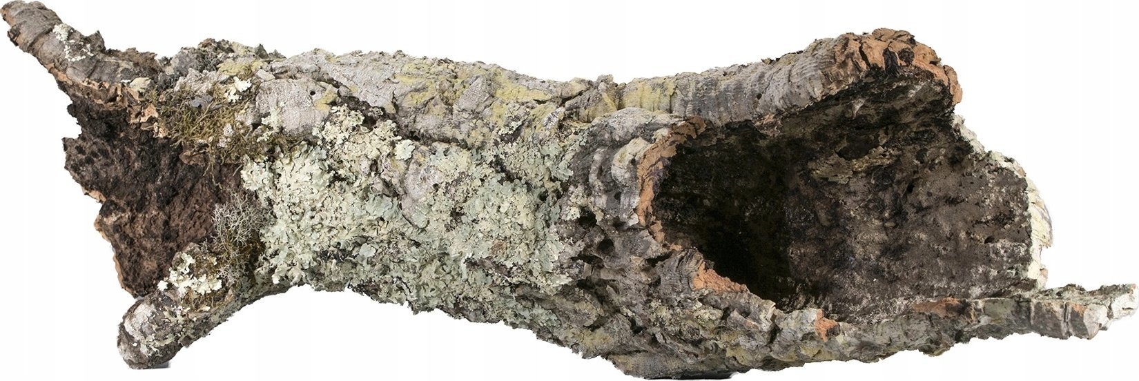 Terra Natura Dekoracja do terrarium tuby i płaty korkowe L-XL (kraj pochodzenia Portugalia), 1kg