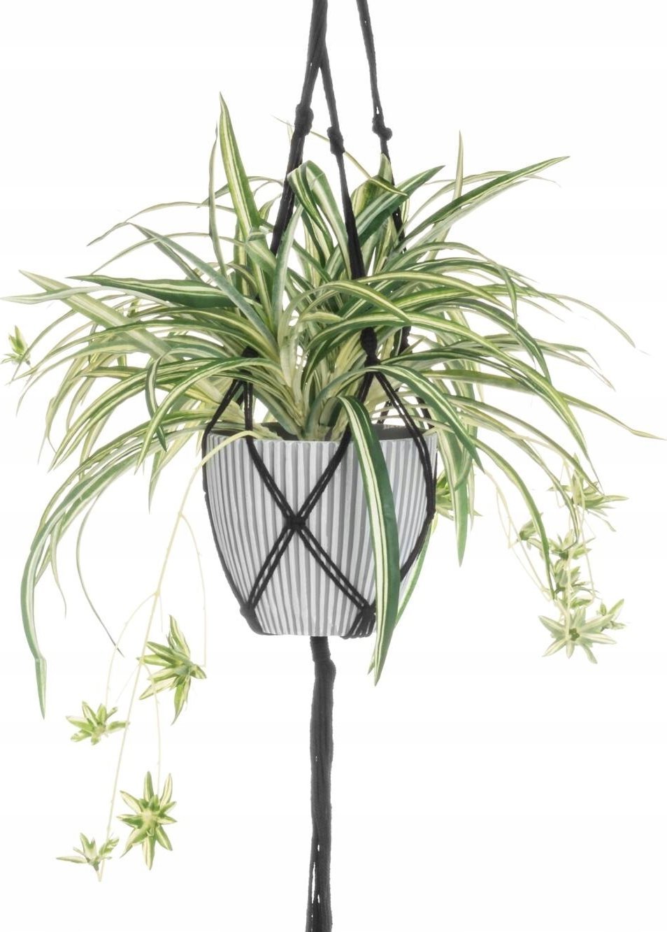 Sztuczna roślina w wiszącej doniczce Zielistka