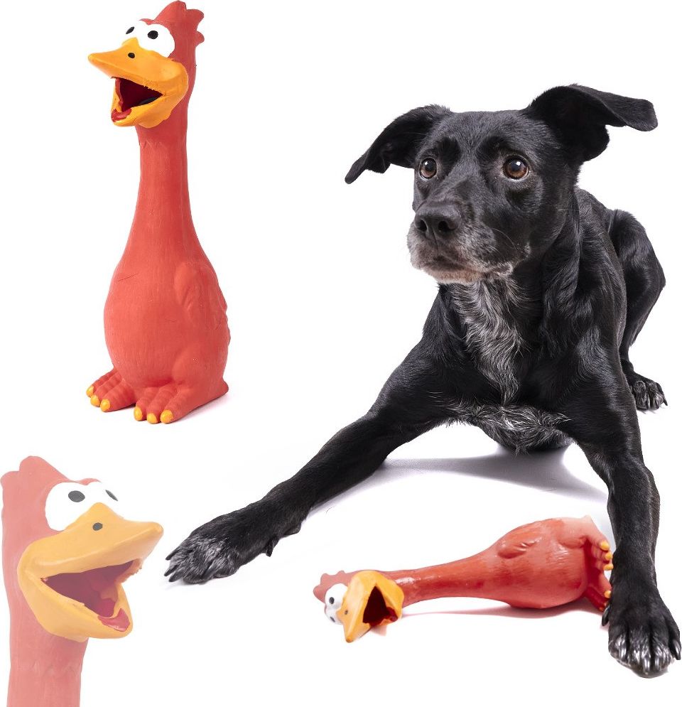 Zabawka dla psa gryzak gumowy kaczka 20,5cm