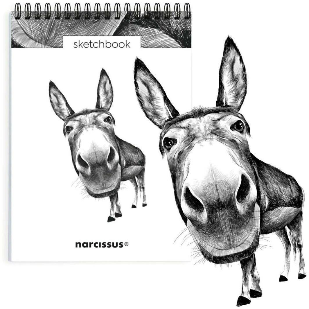 Szkicownik A5/60K na spirali - Osioł