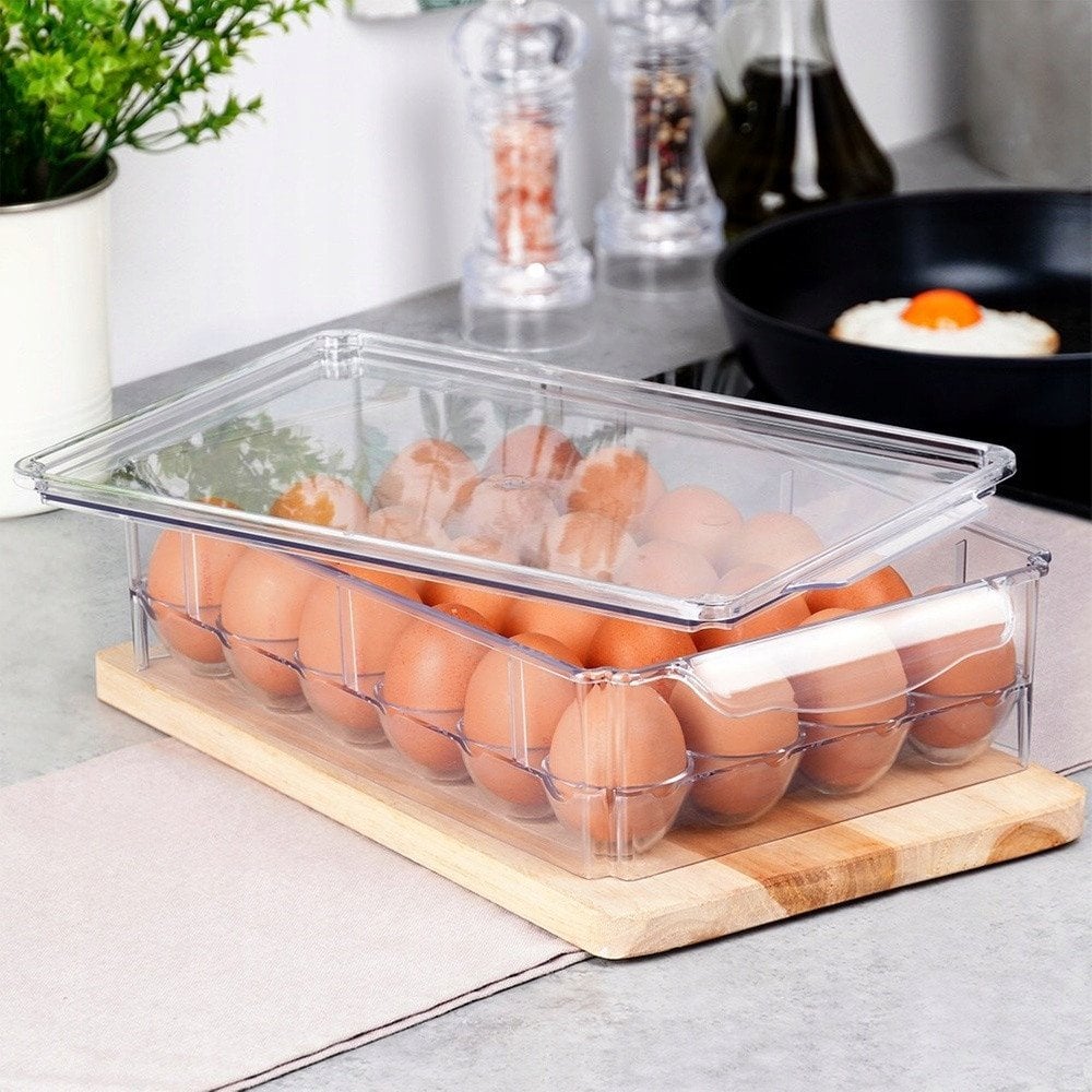 Pojemnik Pudełko na 24 Jajka do Lodówki z Pokrywką VILDE 32 x 21 x 8 cm