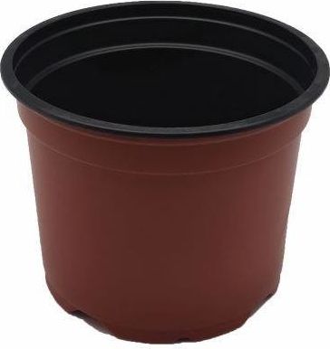 Tajemniczy ogród Doniczka produkcj. 12 cm uniwersalny