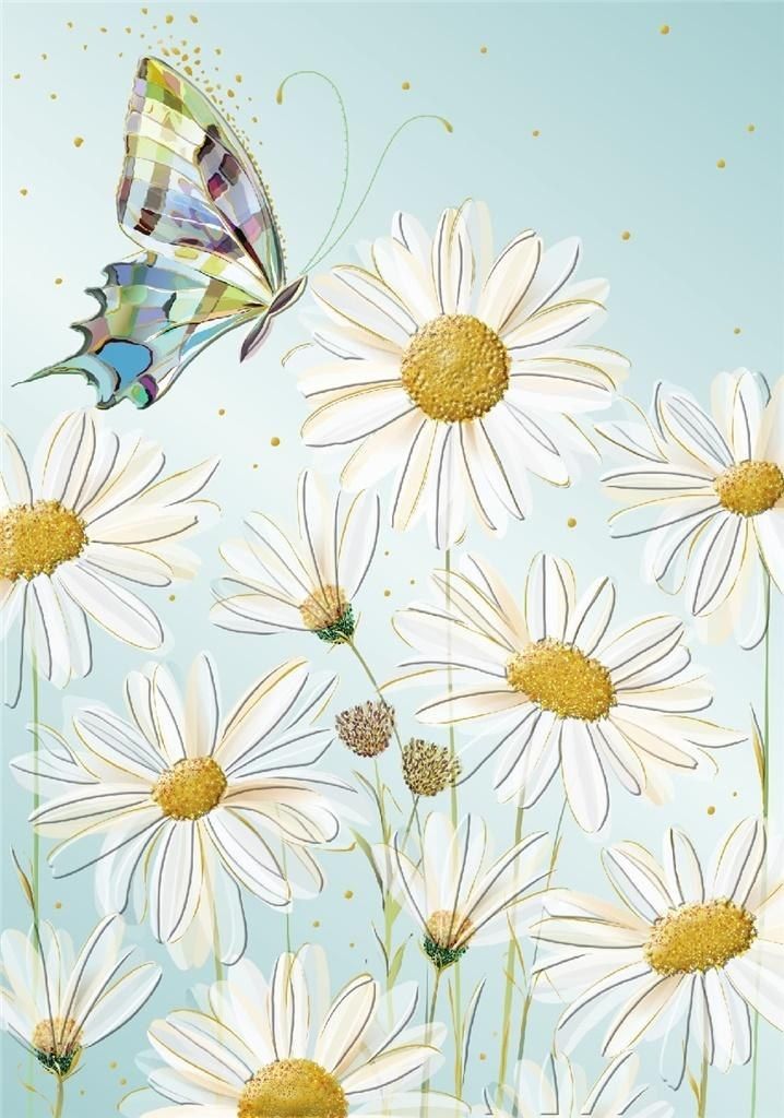 Turnowsky Karnet B6 + koperta Kwiaty astry