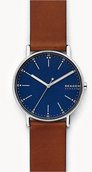 Zegarek Skagen Signature SKW6355