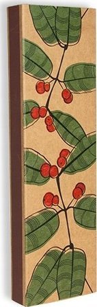 Wołoszyn Zapałki super długie BX-SL40