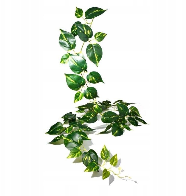 Terra Natura Dekoracja do terrarium wisząca roślina na gałązce duża 30*17*211cm