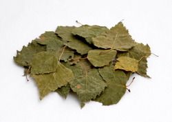 Alegia Liście Brzozy 1000ml