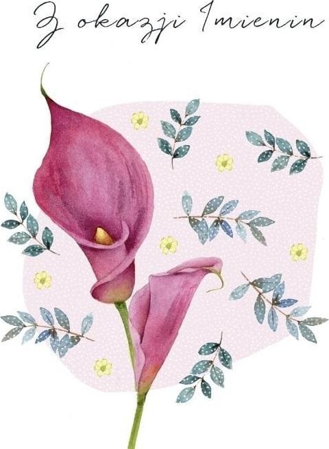 Karnet Swarovski kwadrat CL4507_PO Z okazji Imieni