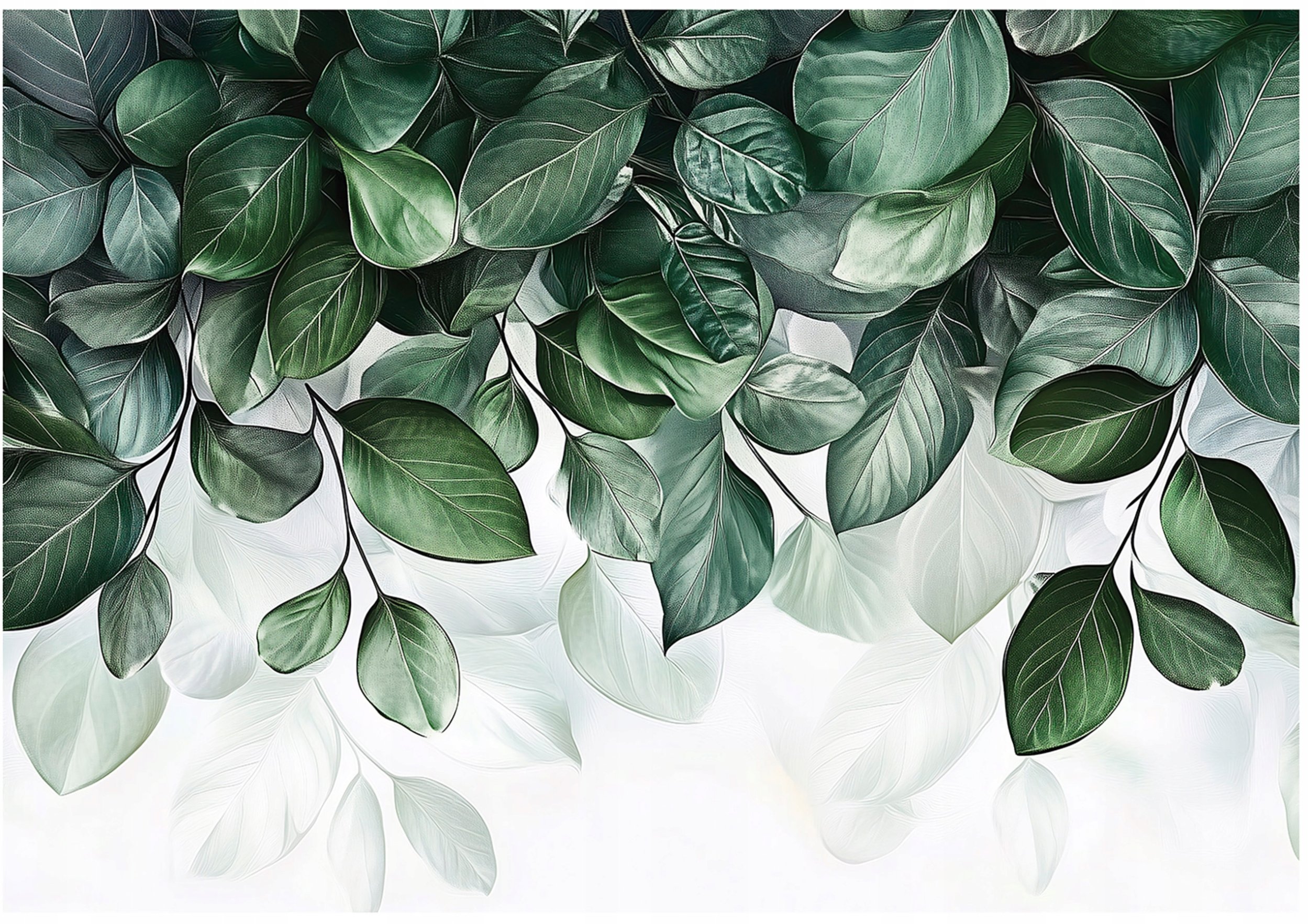 Fototapeta Liście Zielone Wiszące Sypialnia Salon Tapeta Flizelina 350X250