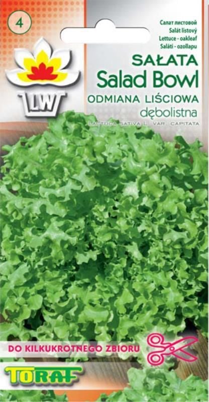 Toraf TORAF WARZYWA Sałata Salad Bowl 1g nasiona