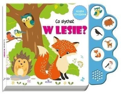 Co słychać w lesie?