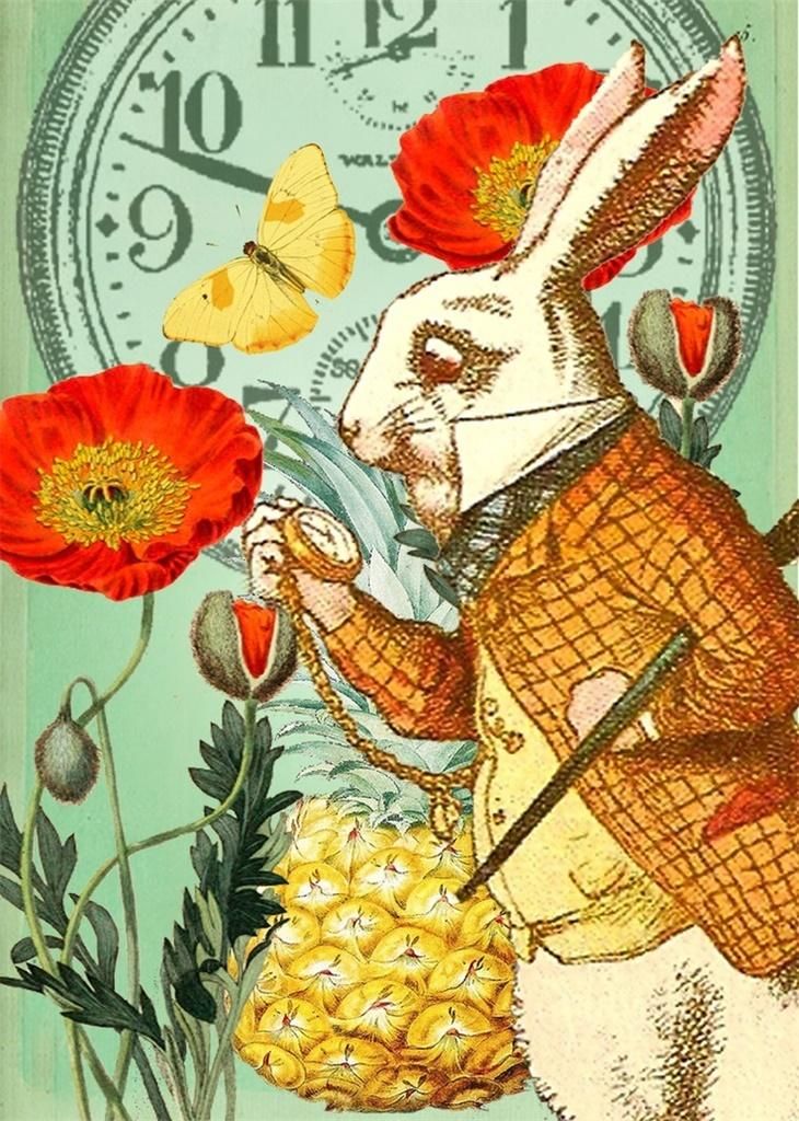 Madame Treacle Karnet B6 z kopertą Alicja w krainie czarów