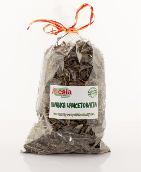 Alegia BABKA LANCETOWATA 100g
