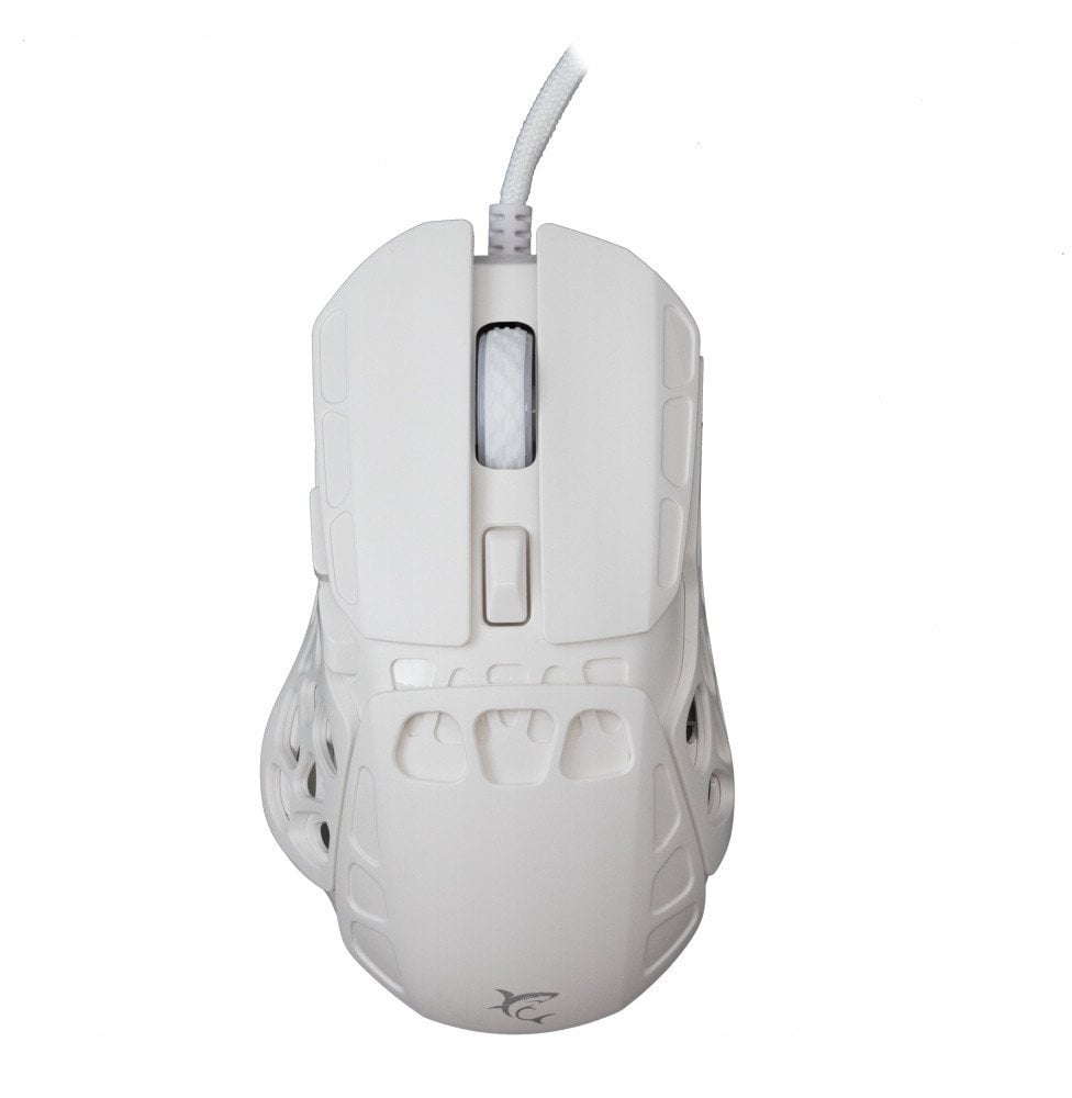 White Shark GM-5016 Ector white