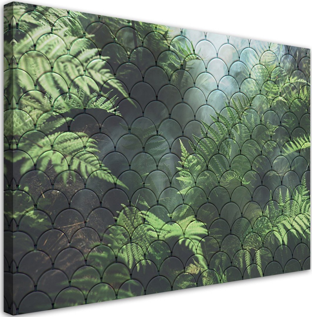 Feeby Obraz na płótnie, Liście paproci - 120x80