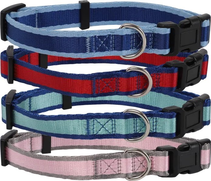 Nobleza Dwukolorowa obroża wsążkowa Dwukolorowa obroża wsążkowa