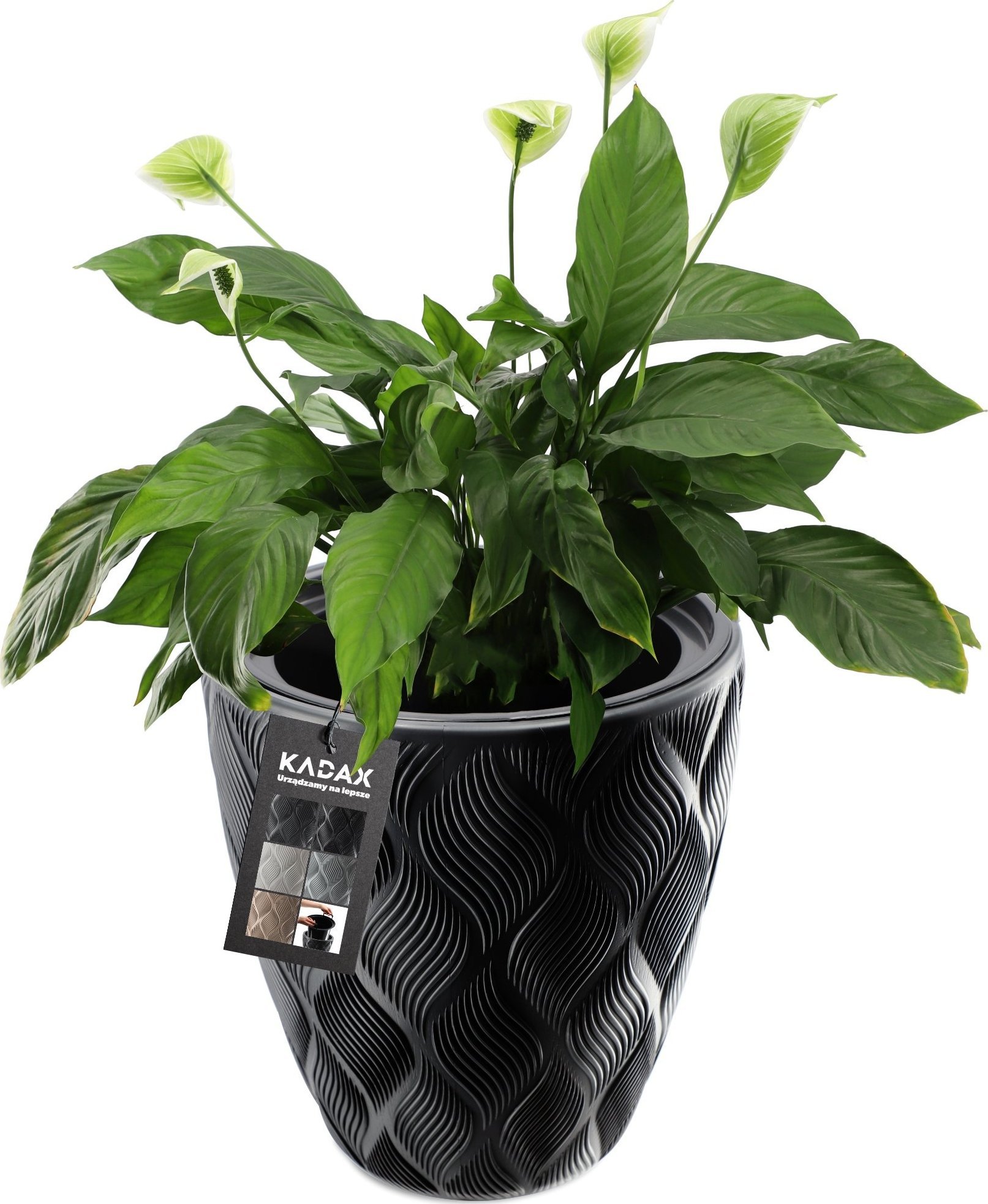 Kadax Doniczka Donica Z Wkładem Ogrodowa Czarna 42cm