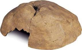 Hagen KRYJÓWKA DLA GADÓW BARDZO DUŻA