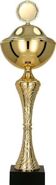 Victoria Sport Puchar plastikowy złoty - SZKOLNICTWO