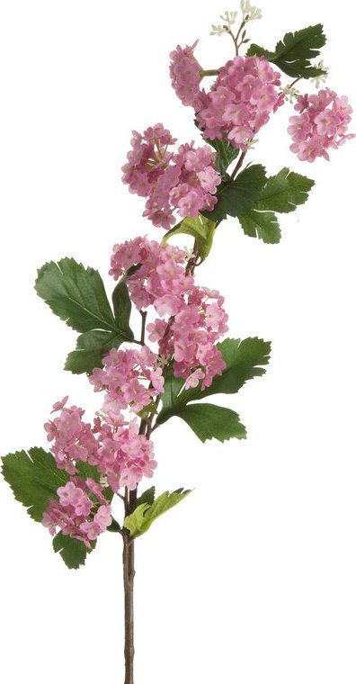 Eurofirany KWIAT NATU 446