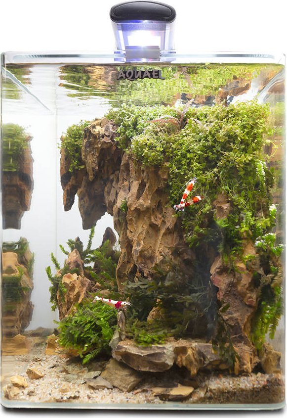 Aquael AQUAEL Zestaw Aquael Opti Bent Set Day & Night [20l] - biały