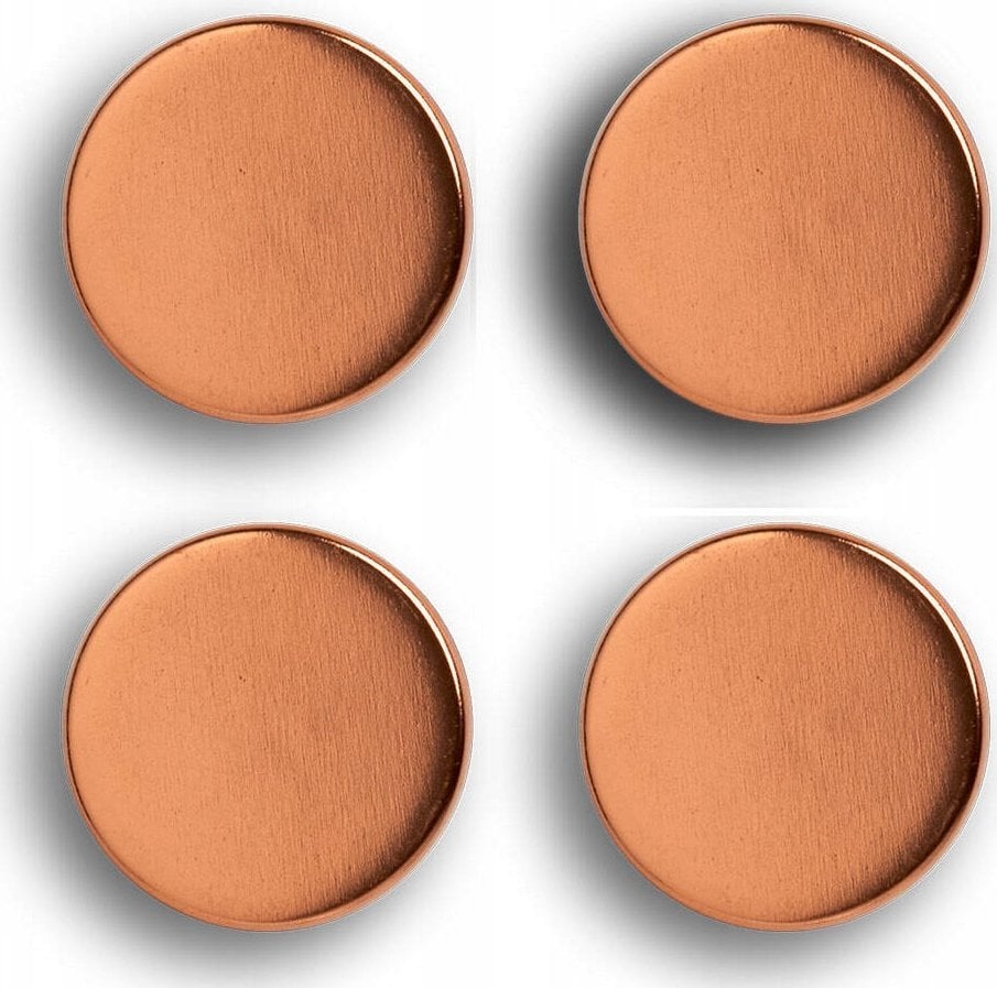 Zeller Komplet magnesów, 4 sztuki, Ø 2,3 cm