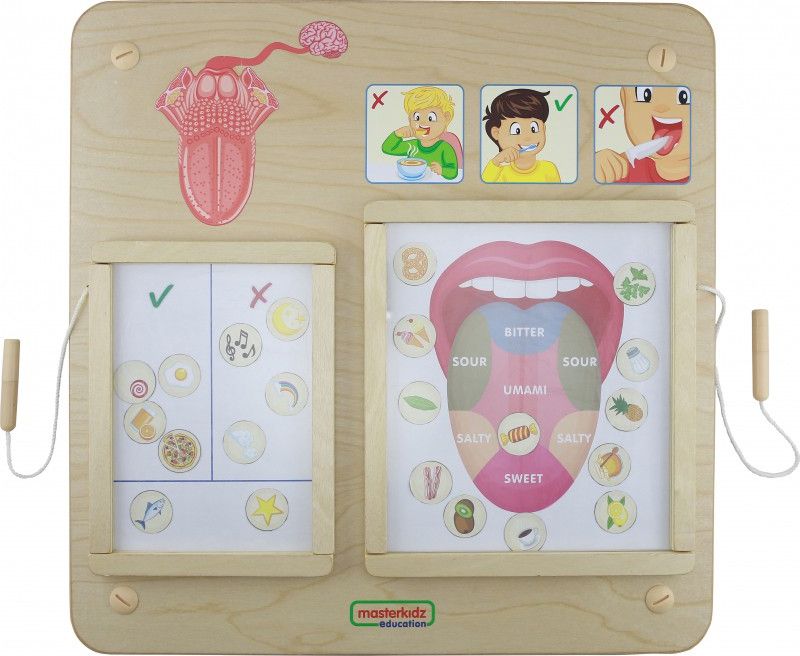 Masterkidz Tablica Edukacyjna Zmysł Smaku