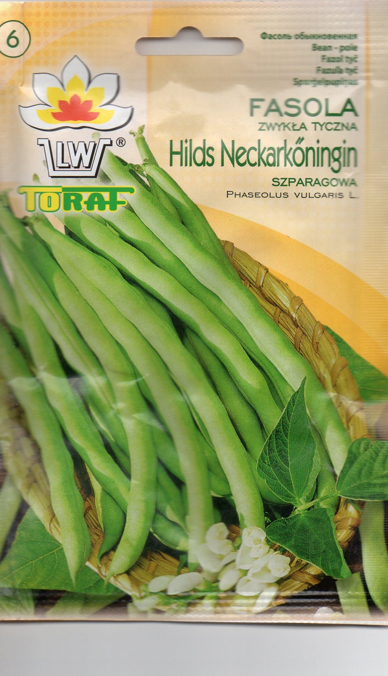 Toraf Nasiona warzyw | Fasola Szparagowa Tyczna Hilds | Opakowanie 10g