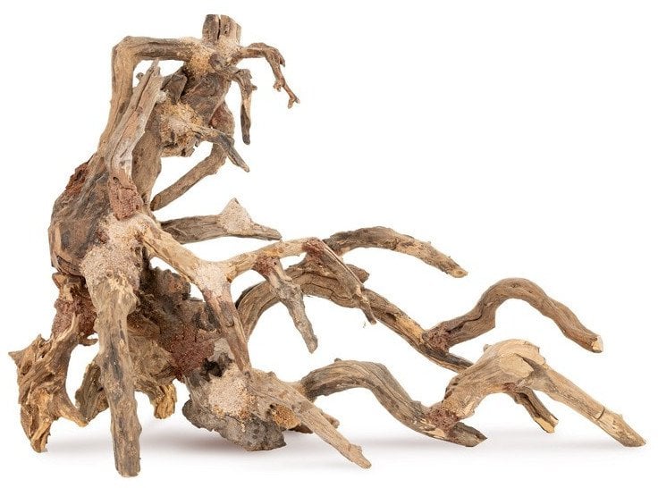 Ton�ce drzewo Bonsai nr 64 75x45