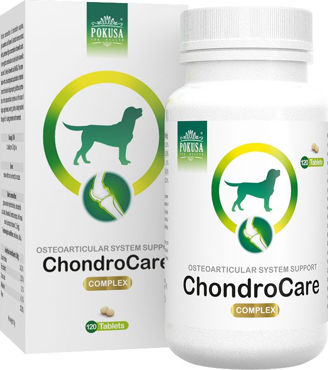 POKUSA ChondroCare tabletki na stawy 120 sztuk