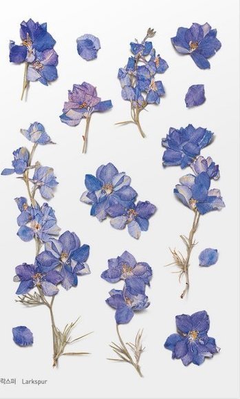 Appree Naklejki ozdobne kwiaty Ostróżka