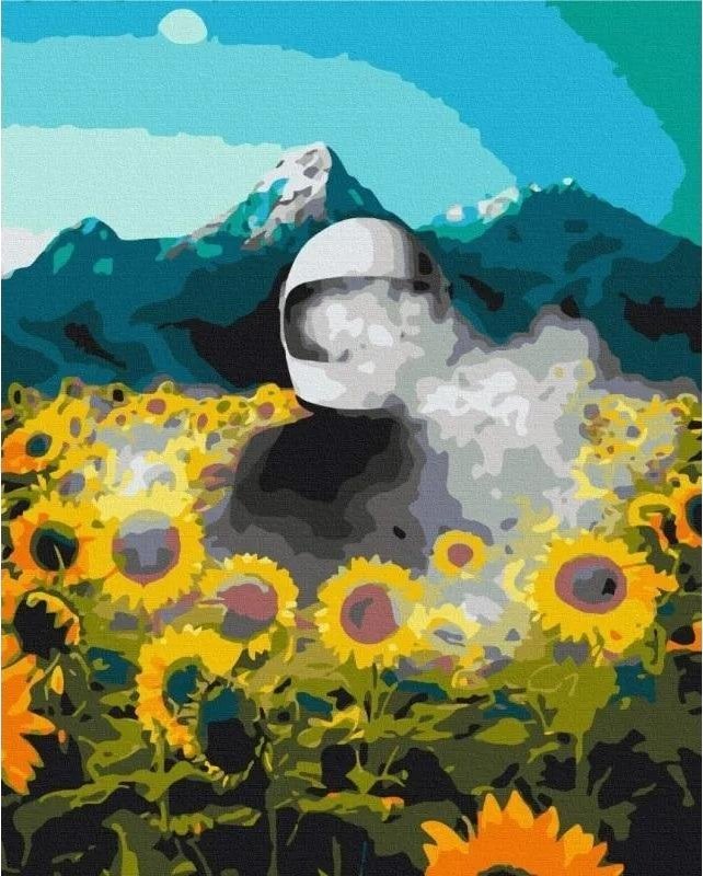 Malowanie po numerach - Kosmiczna Ziemia 40x50cm EDUKAMP