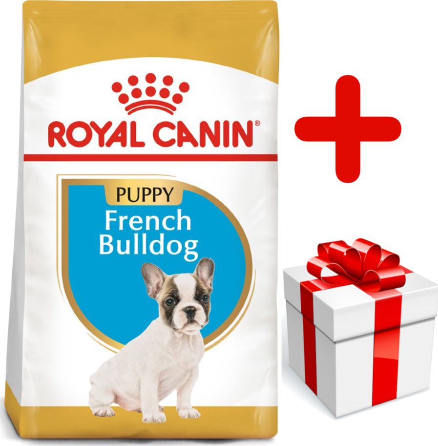 Royal Canin ROYAL CANIN French Bulldog Puppy 10kg karma sucha dla szczeniąt do 12 miesiąca, rasy bulldog francuski + niespodzianka dla psa GRATIS!