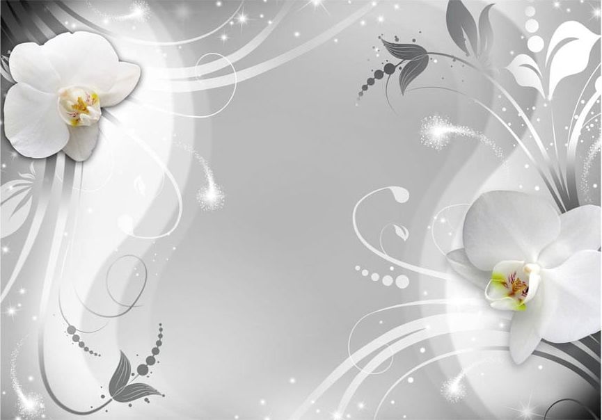 DecoNest Fototapeta - Czarująca orchidea - 100X70