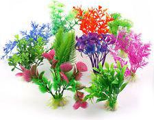 ZOOLOGIA ROŚLINKA "A"