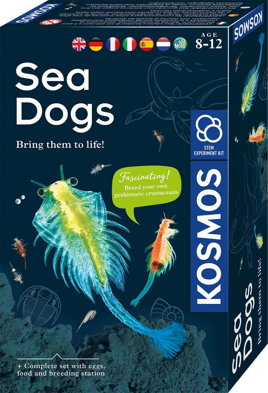 TOY EDUCATIONAL SET SEA DOGS