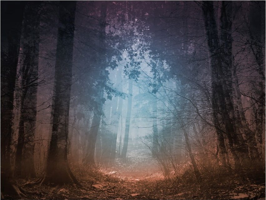 DecoNest Fototapeta - Keep breathing - 300X231