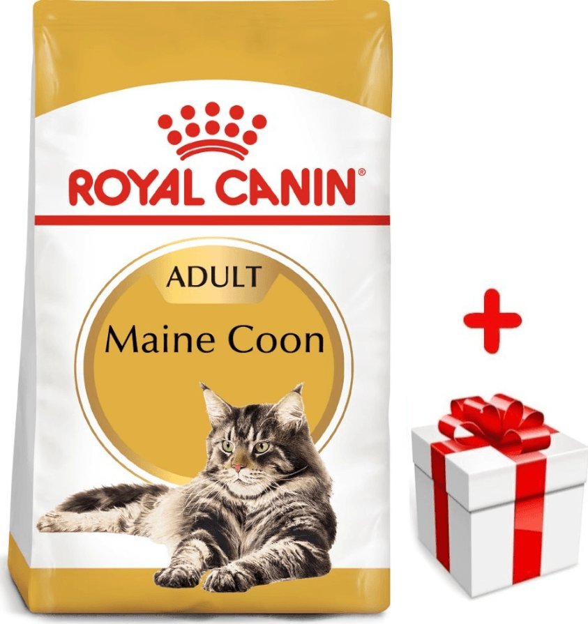 Royal Canin Maine Coon Adult 4kg + gratis