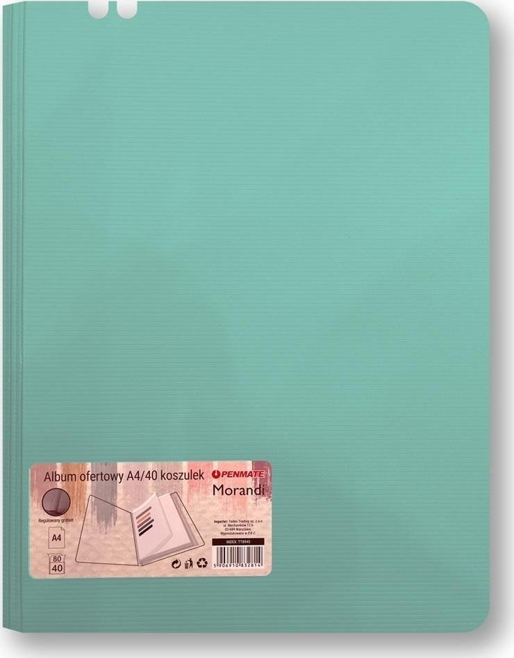 Album ofertowy A4 40 koszulek Morandi nieb-zielony