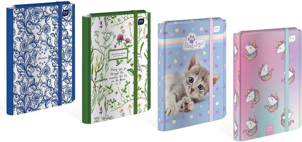 Interdruk Teczka z gumką A4 twarda Girls