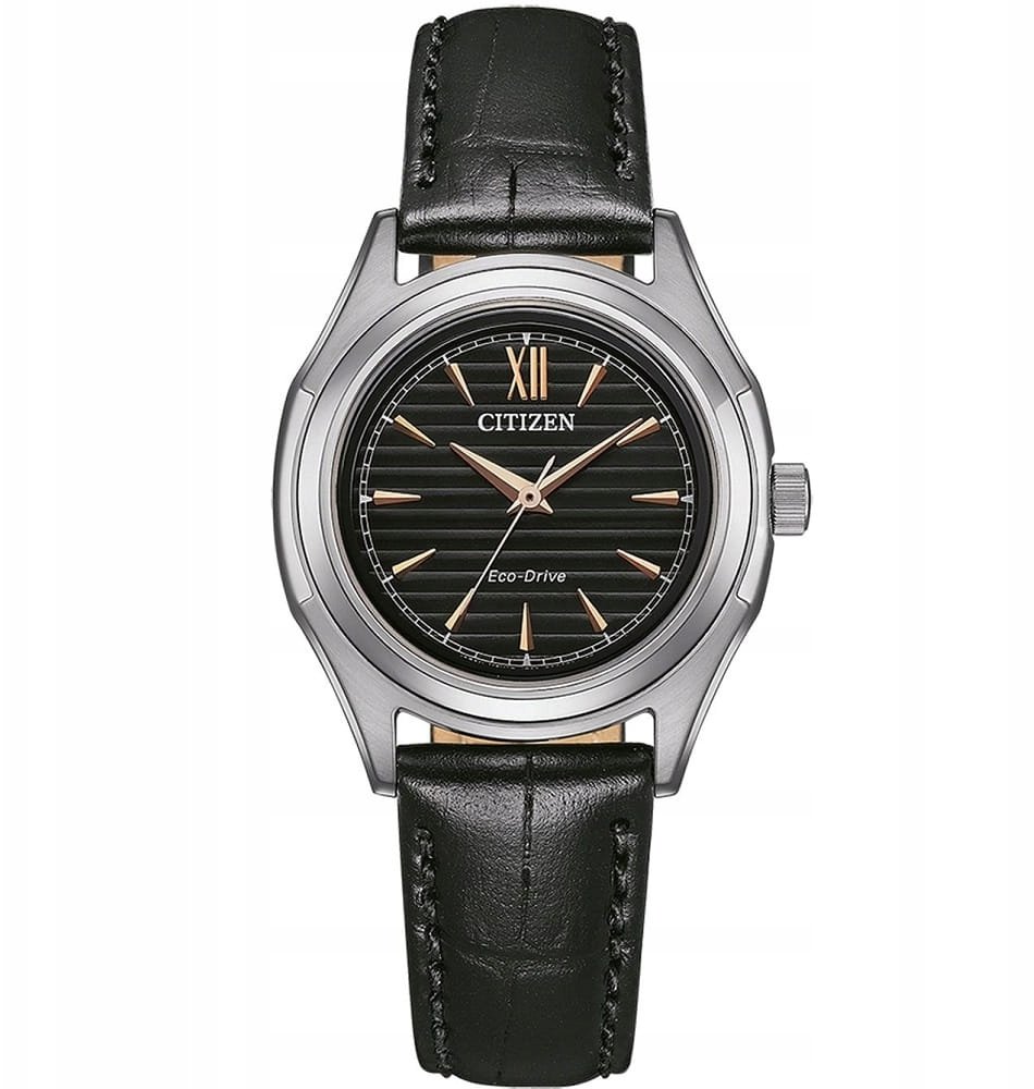 Zegarek Citizen Eco-Drive FE2110-14E