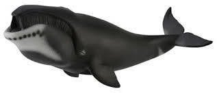 Wieloryb granlandzki