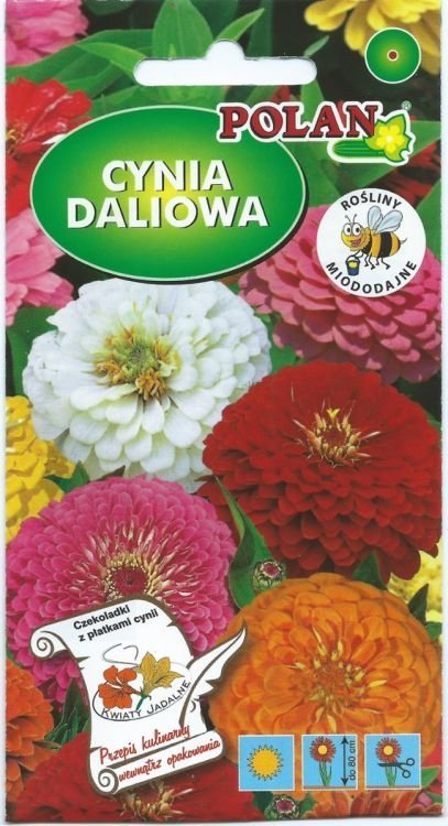 Polan PLATINET NASIONA CYNIA DALIOWA ZINNIA ELEGANS SEEDS 1 G