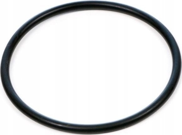 Fluval Uszczelka silnika, O-ring do filtrów FX - A20207