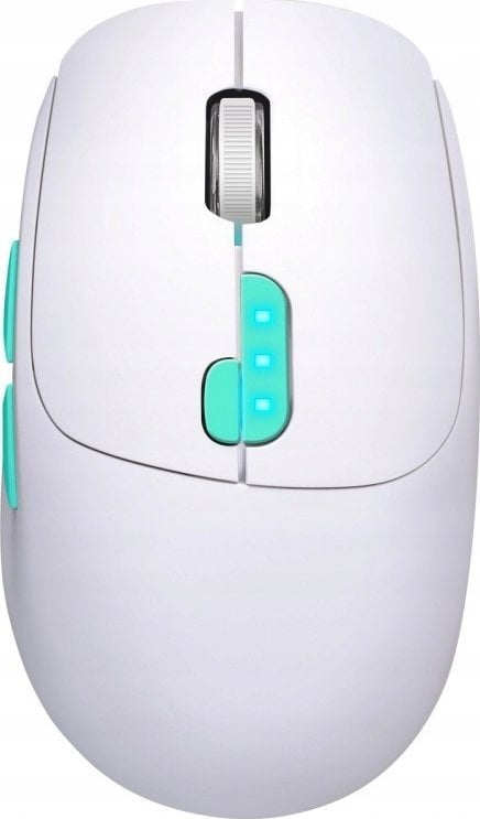 Mysz Defender Mysz bezprzewodowa Defender NITTA MM-307 optyczna 1600dpi 2.4 GHz + Bluetooth biała AKUMULATOR