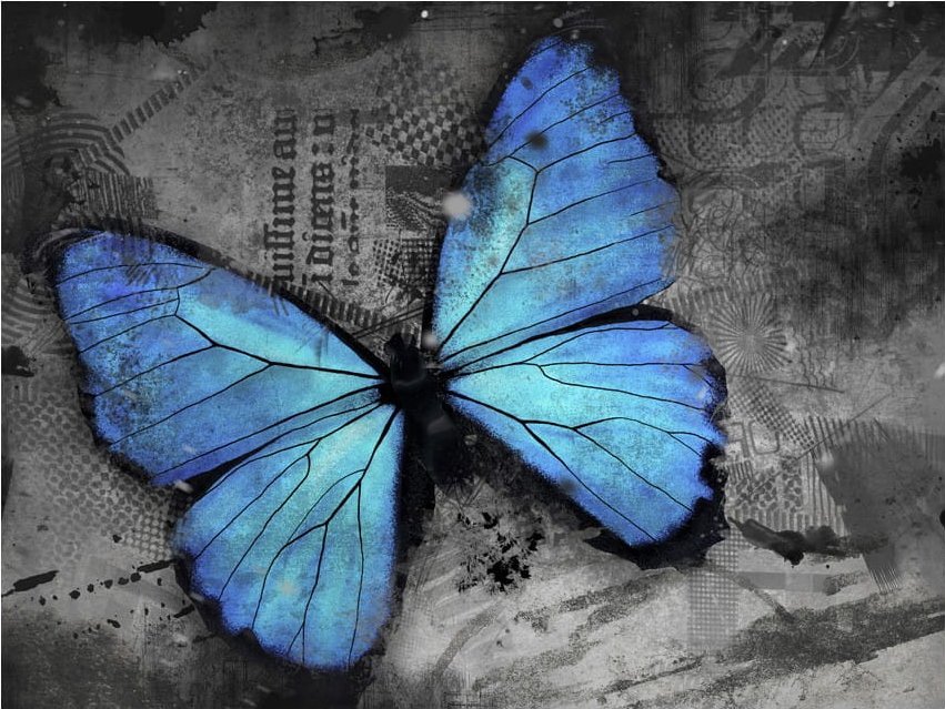 DecoNest Fototapeta - Uskrzydlony - 300X231