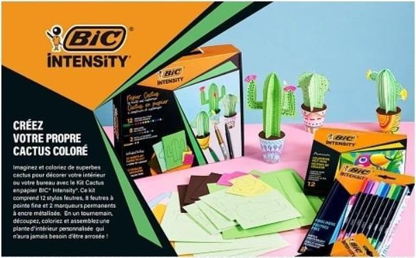 Zestaw Intensity Paper Cactus BIC