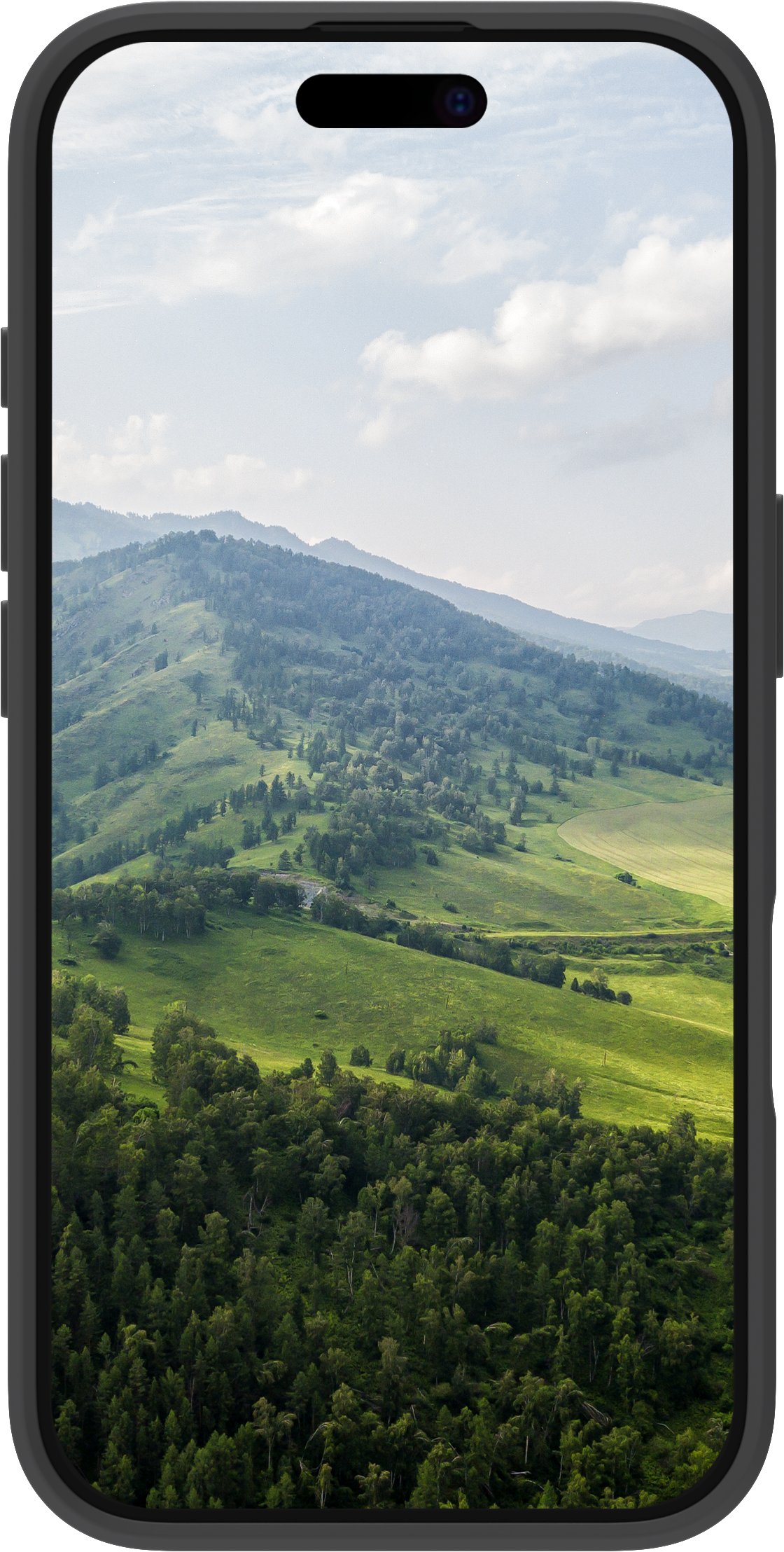 dbramante1928 Bulk - Nuuk - iPhone 16 - Black, Cover, Apple, iPhone 16, 15.5 cm (6.1"), Black