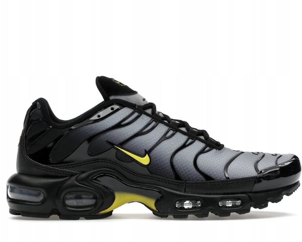 Nike Air Max Plus DM0032-012 szary 40