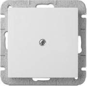 Elektro-Plast Zaślepka Carla bez ramki biała (1770-10)